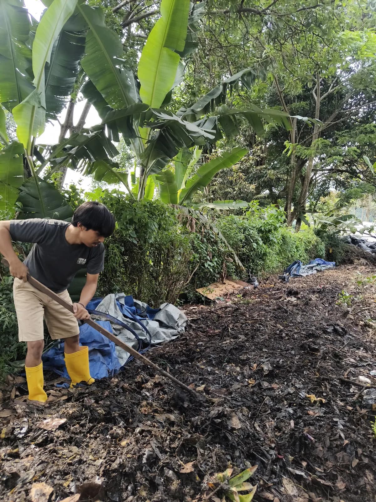 Anggota tim Ngadaur bersepatu bot kuning mengaduk timbunan kompos di bawah pohon pisang